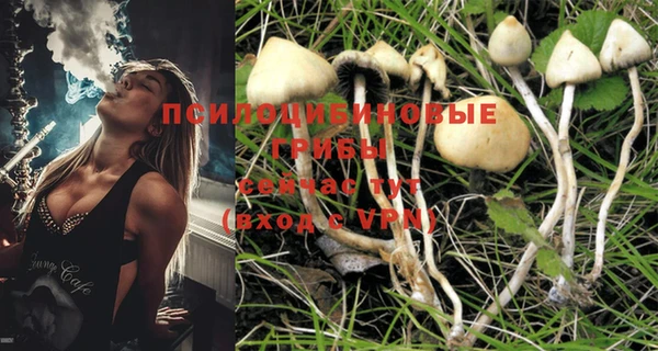 прущий лед Новозыбков