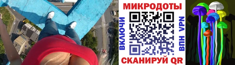 Псилоцибиновые грибы прущие грибы Новодвинск