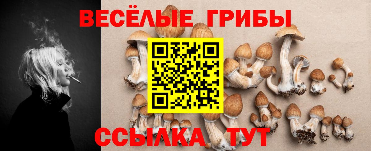 Псилоцибиновые грибы ЛСД  Новодвинск  Галлюциногенные грибы Cubensis 