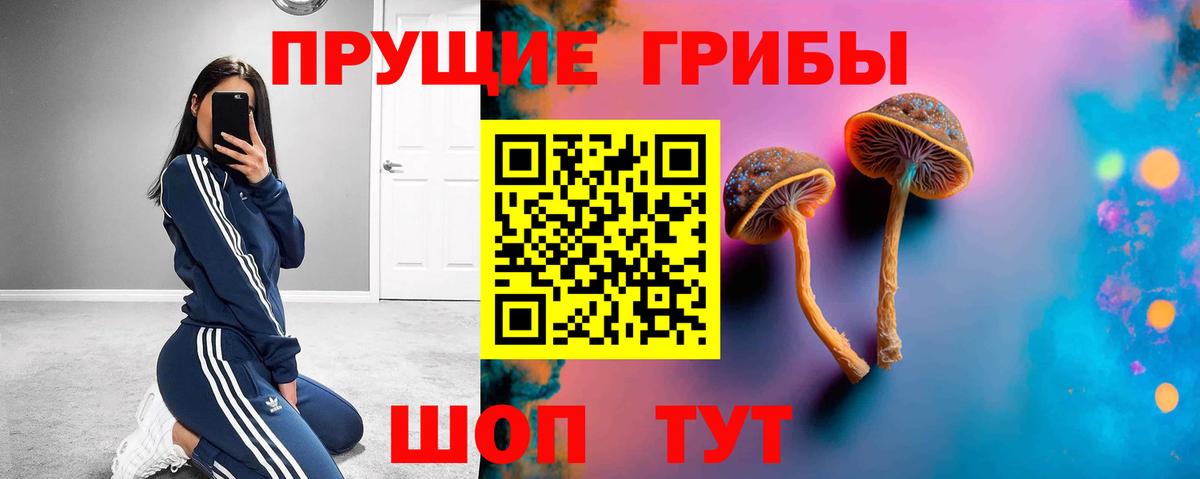 Псилоцибиновые грибы Psilocybe  Псилоцибиновые грибы ЛСД  Новодвинск  Вход с VPN 
